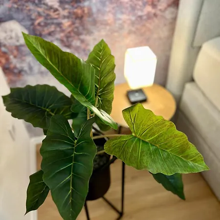 Main Cozy Casa Am Ringpark Free Parking וירצבורג